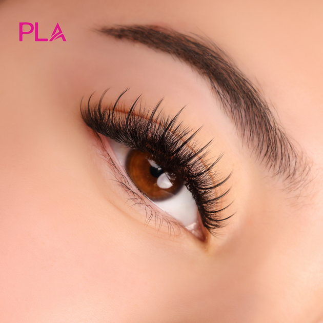 Understanding Lash Retention A Guide For Lash Artists Paris Lash Academy 6921