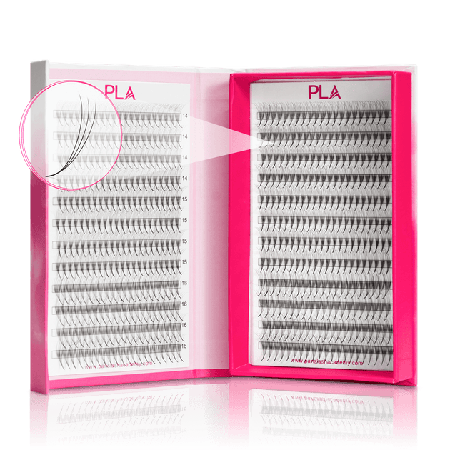 Bold Lashes Pla Paris Lash Academy 2358